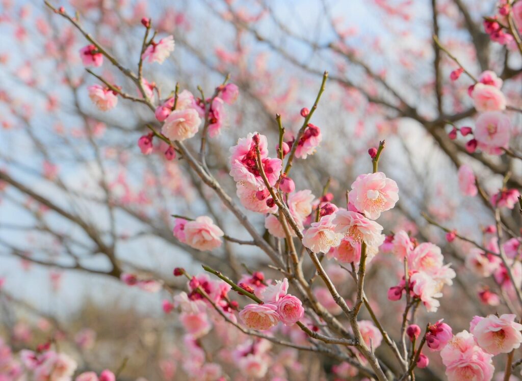 FP国家資格を独学で取得するための最適な勉強法は？