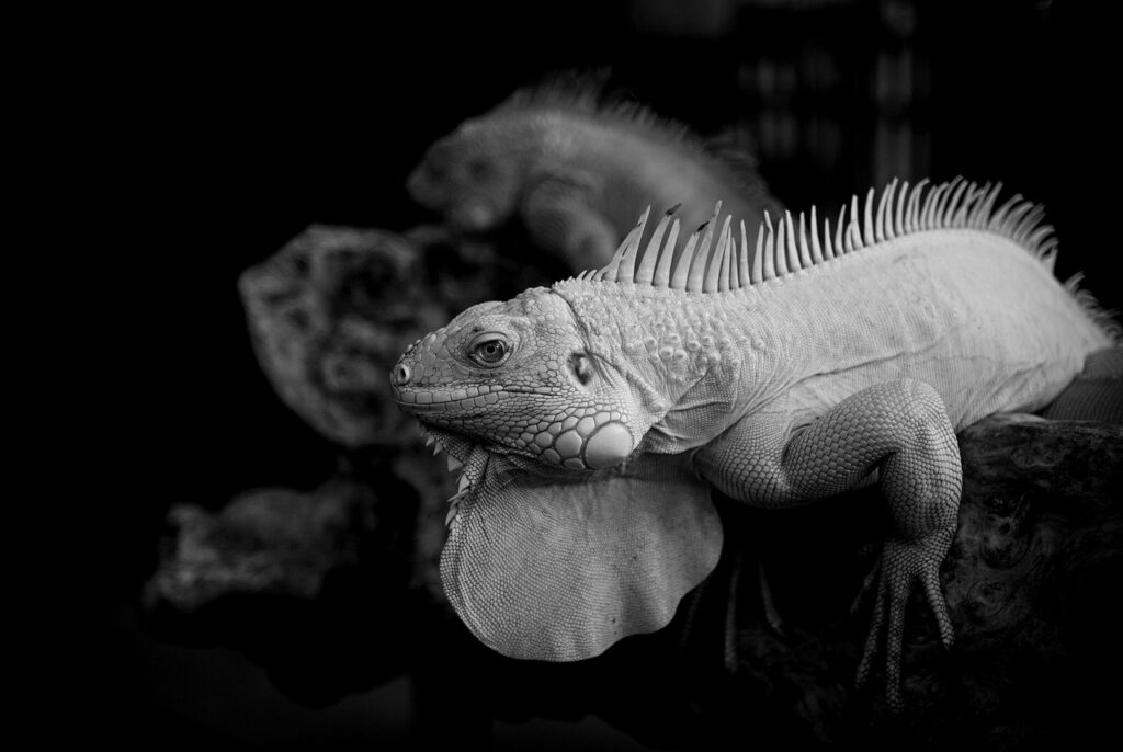 税理士国家資格の科目合格制度について知っておくべきことは？