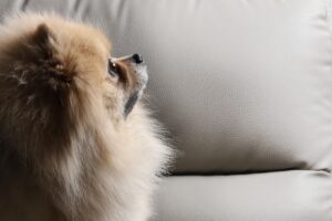 税理士になるための受験資格として大学は必須なのか？