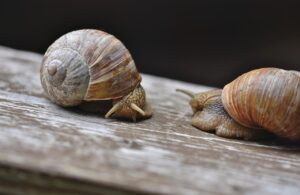 国家資格を取得して年収アップを狙うための資格は？